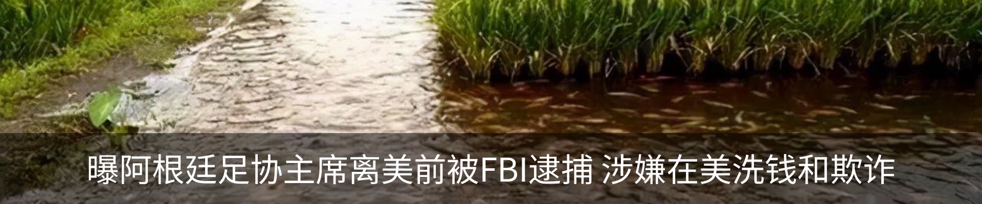 行业资讯